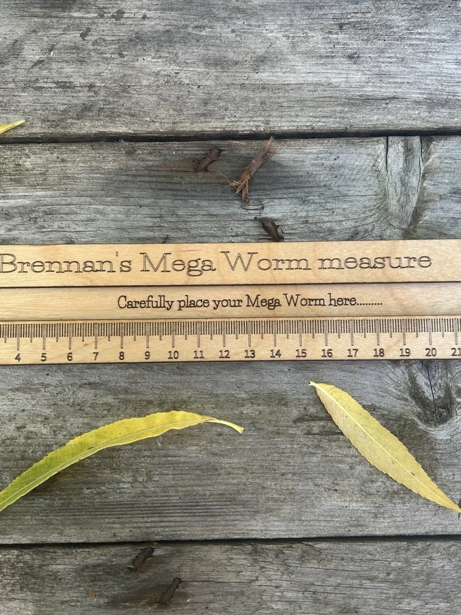 A personalised birch plywood worm‑measuring board lying flat on a natural outdoor surface. The tool features a long engraved ruler scale up to 26cm and a central slot for safely placing a worm during measurement. The wood has a smooth, light oil finish with rounded edges, designed for young learners and forest school activities. No worms are shown; only the wooden measuring board with its  carrying cord is visible.