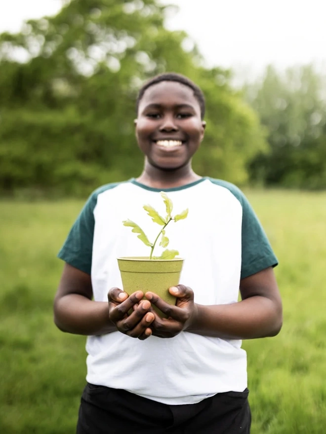 The Grow Your Own British Tree Kit