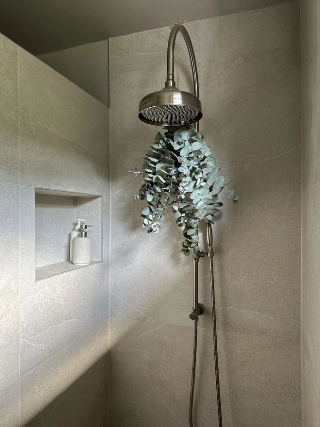 Eucalyptus hanging up in the shower
