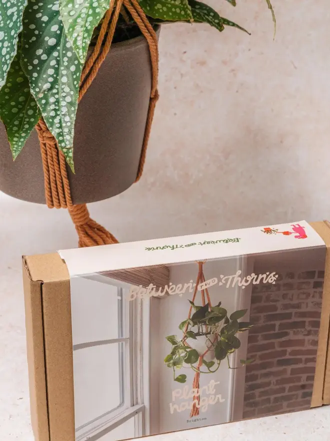 Macrame Hanger With Wooden Ring, on a table, next to a plant. 