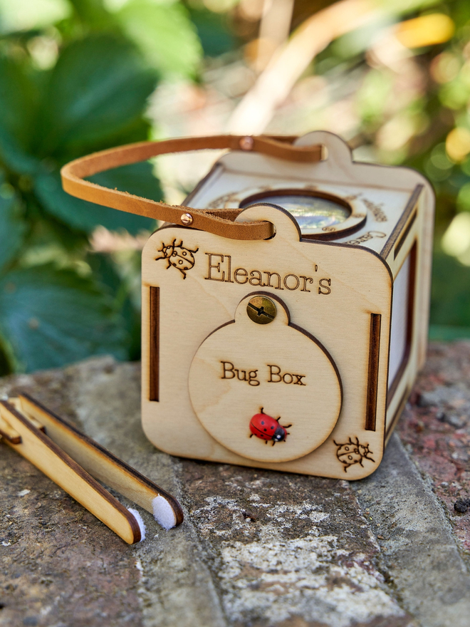 Personalised birch plywood observation box with a viewing panel at the top