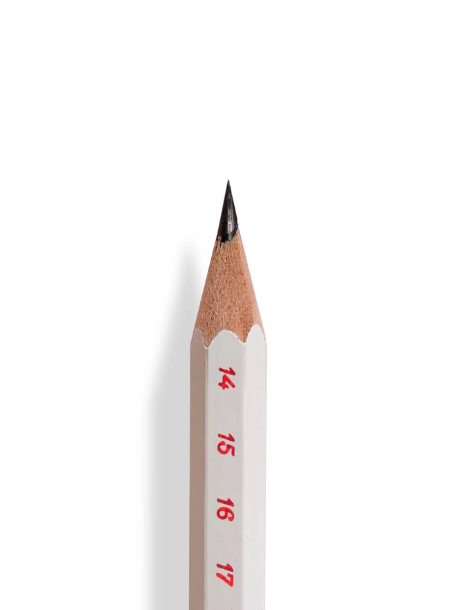 Odd Goose Stationery Advent Calendar pencil foil printed close up of lead tip