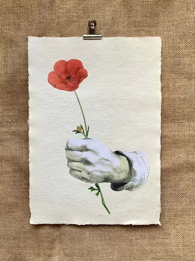 Collage artwork of a hand holding a poppy.