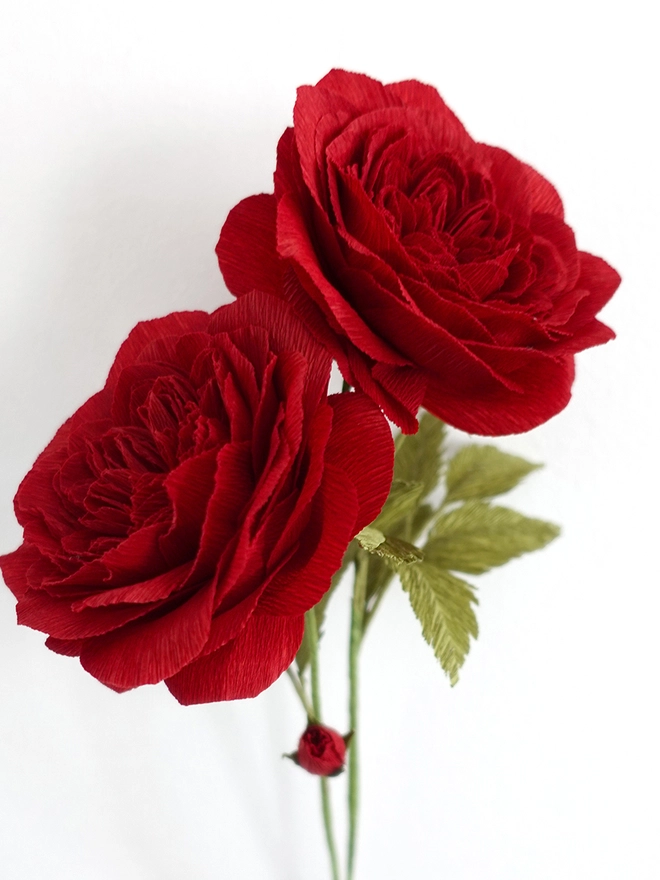 Crepe Paper Falstaff Rose DIY Kit