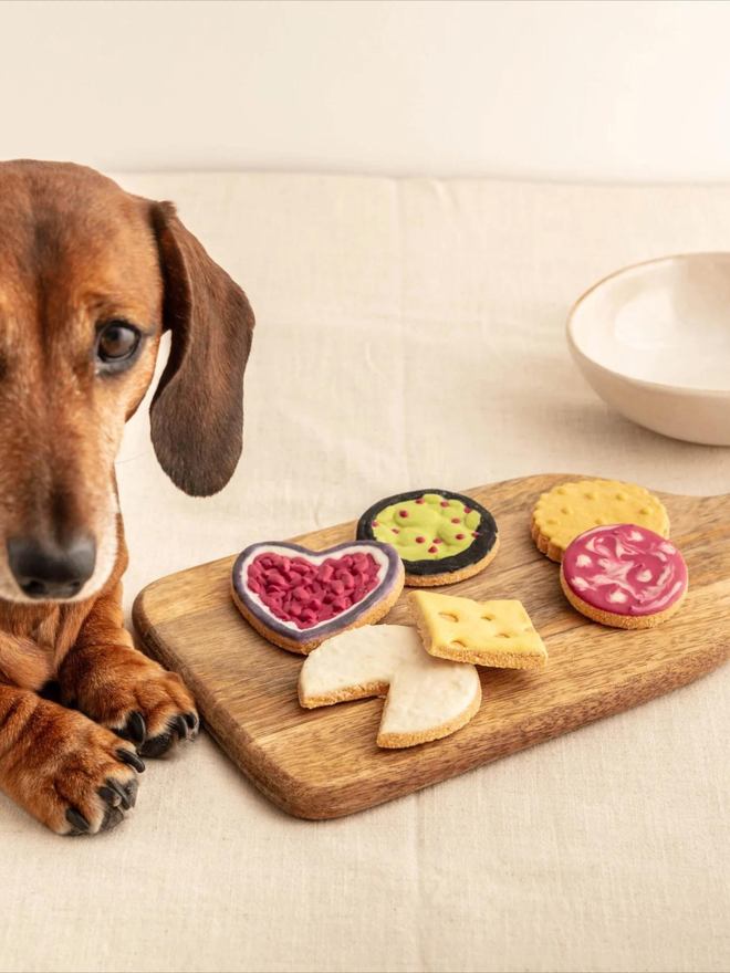 charcuterie board iced dog biscuits