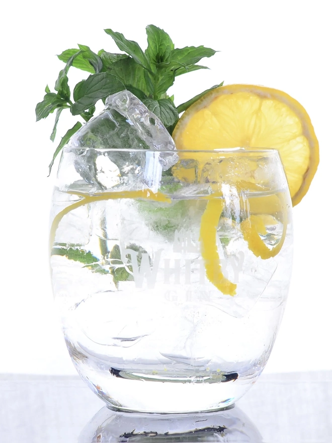 Wild Old Tom Edition Gin, a glass of gin sitting on a plain white surface. 
