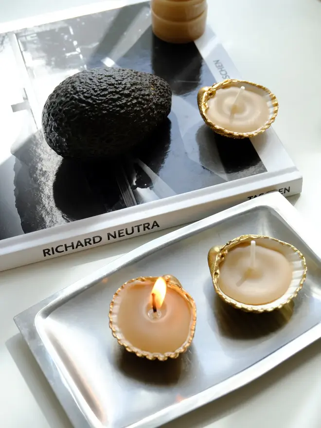 Handcrafted Sea Shell Beeswax Candle Trio 