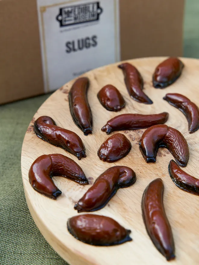 Chocolate Slugs 