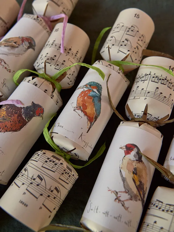 EcoMagpie_BirdMusicChristmasCrackers