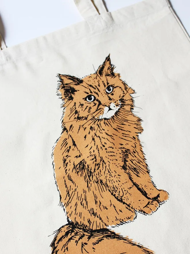 Ginger cat tote bag close up