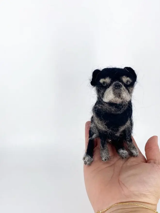 merino wool pug portrait