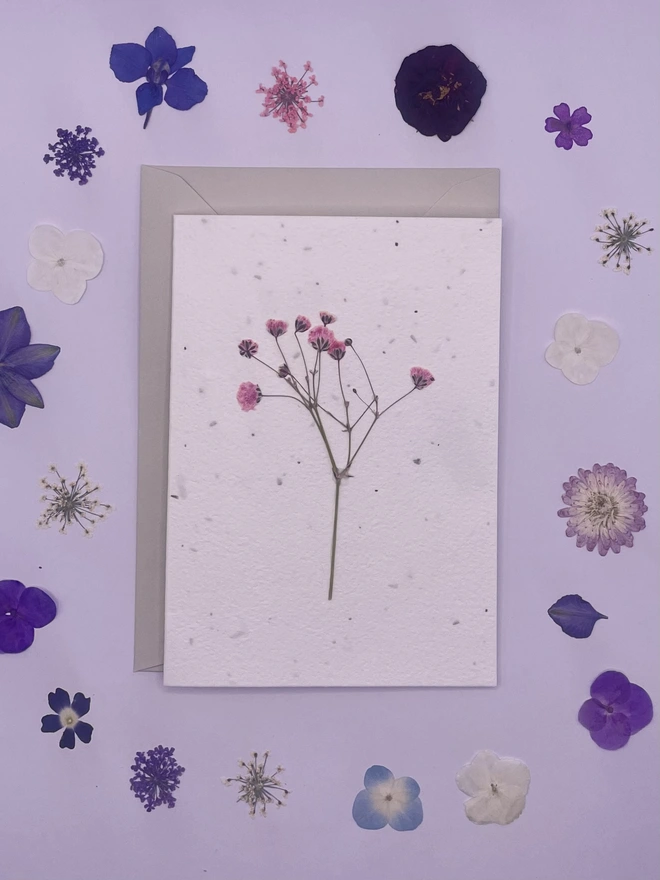 Real Pressed Flower Plantable Card, Pink Gypsophila