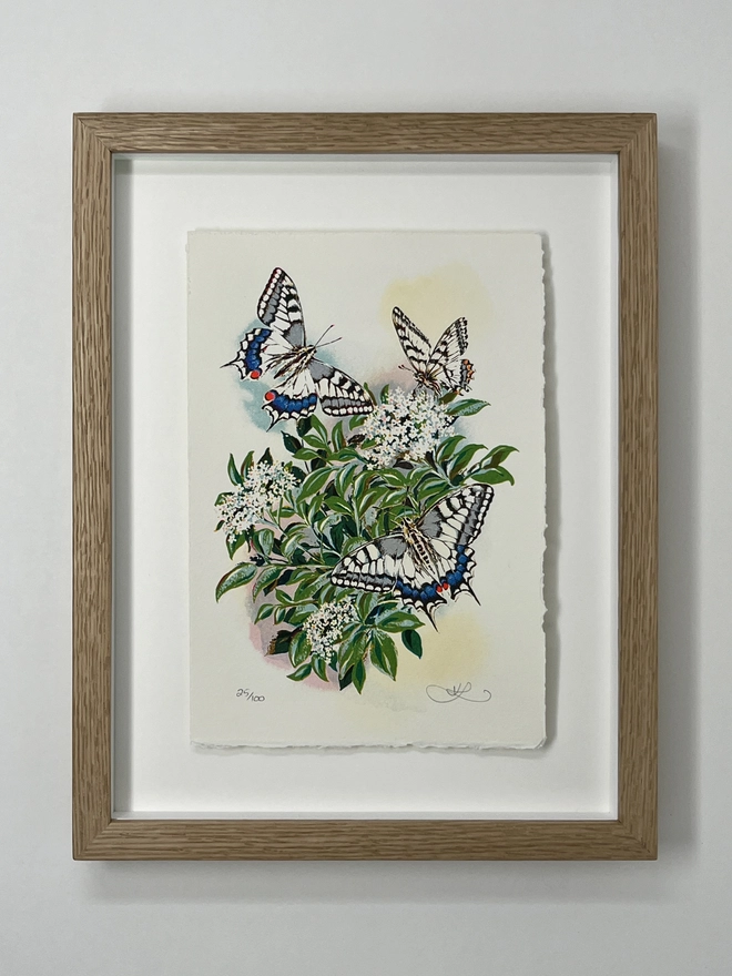 Happy Hour Hand Finished Butterfly Screenprint