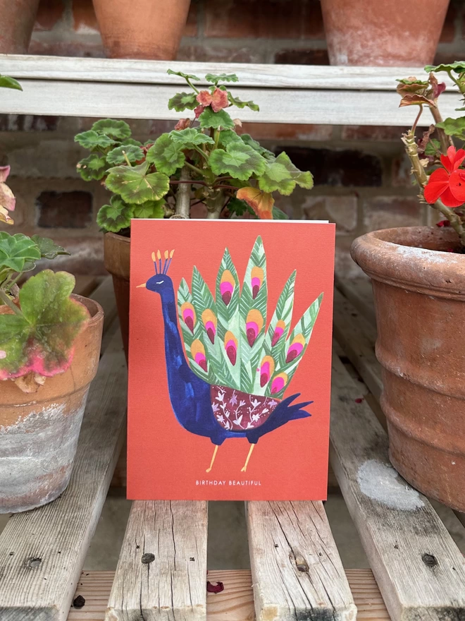 birthday peacock card