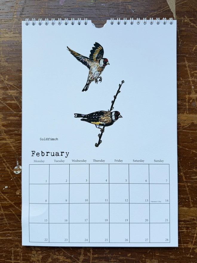 Goldfinches for February