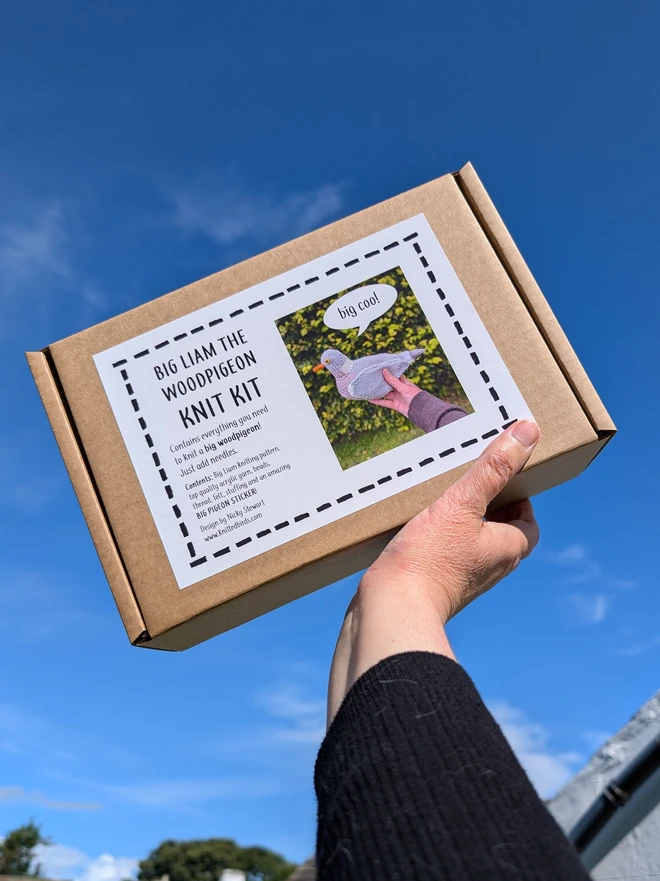 wood pigeon knit kit in gift box, held up in the air with blue sky in the background