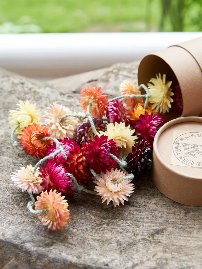 Rainbow dried flowers in a brown tube box on a wooden outdoor table in the garden 