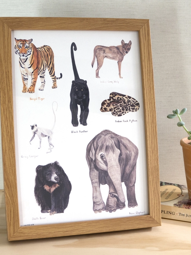 a print with a white background featuring illustrations of the real life animals that would be in the Jungle Book story