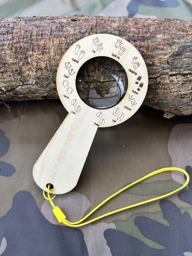 Magnifier with compass and animal tracks for interactive exploration