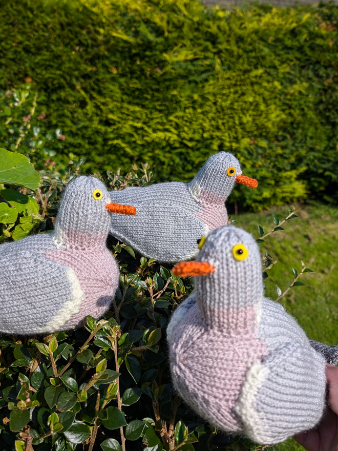 a flock of three knitted wood pigeons sitting in a garden hedge