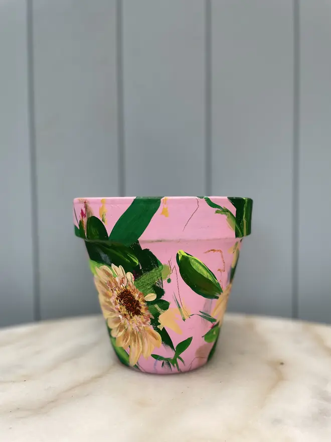 Unique hand-painted terracotta pot featuring apricot zinderella on a pale pink background