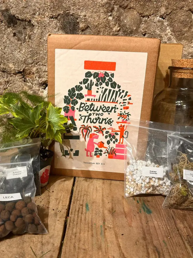 DIY Closed Terrarium Kit, scattered on a wooden table. 