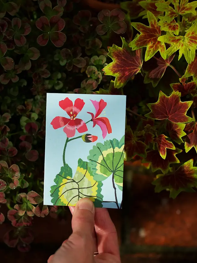 illustrated geranium mini card