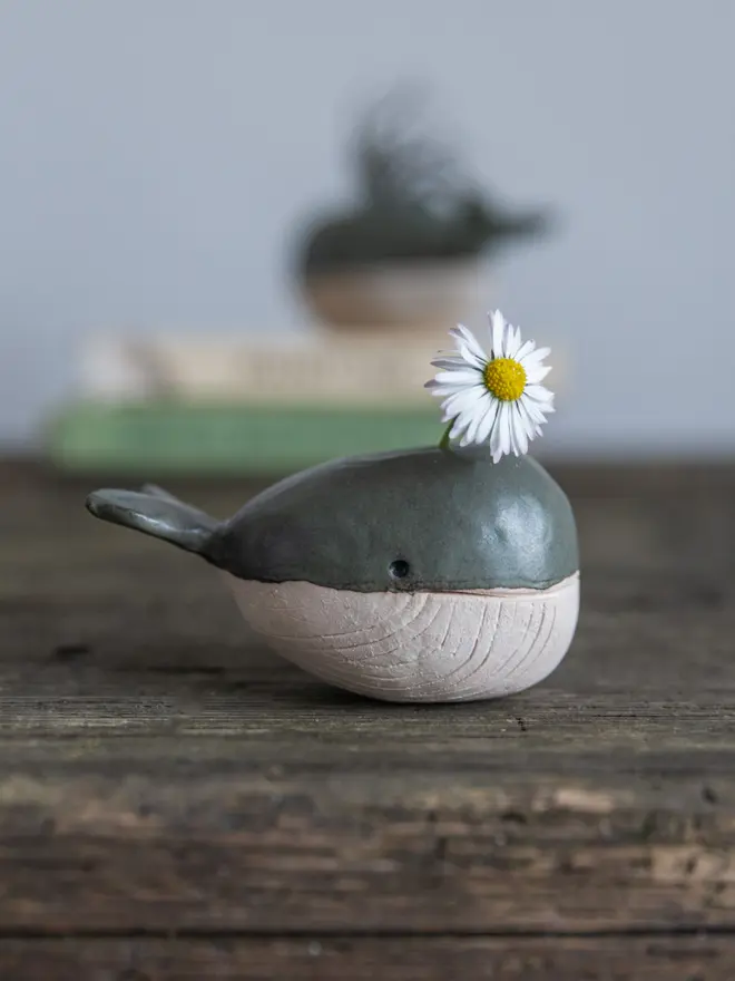 Mini whale vase with a daisy poking out of the spout