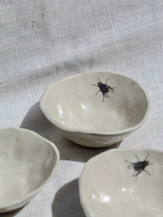 Fly Trinket Dish, a fly trinket dish sitting on a plain white surface. 