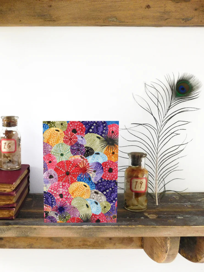 illustrated sea urchin pattern greetings card