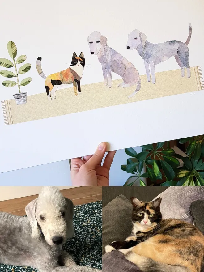 A three pet collage portrait by Lianne Harrison