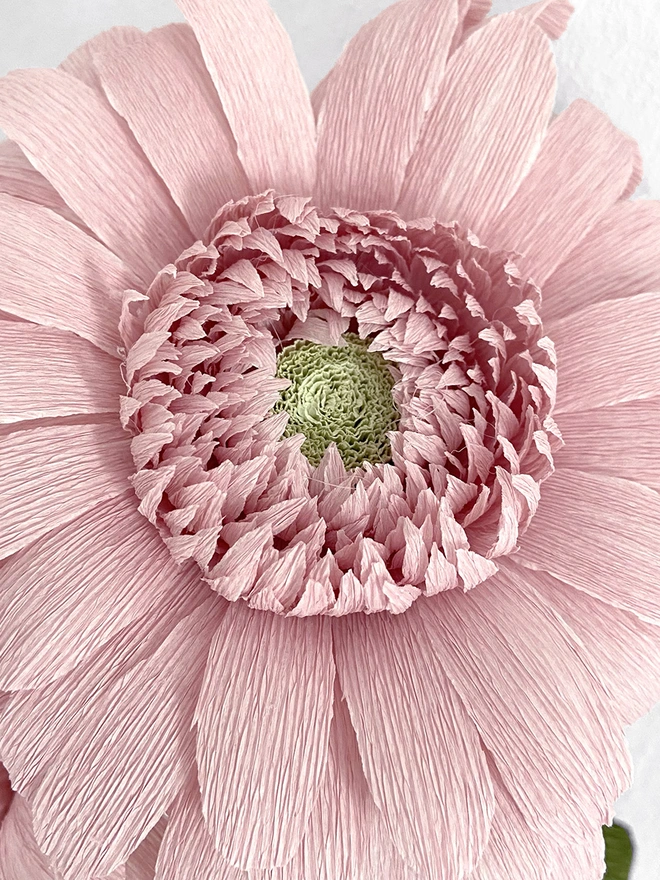 Crepe Paper Gerbera Daisy DIY Kit