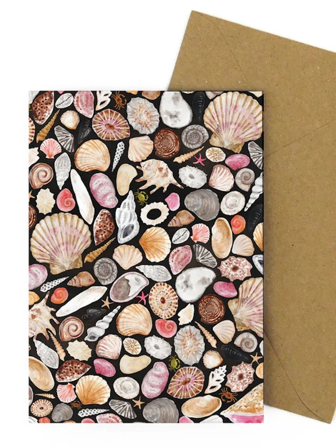 Mollusca Sea Shell Greetings Card