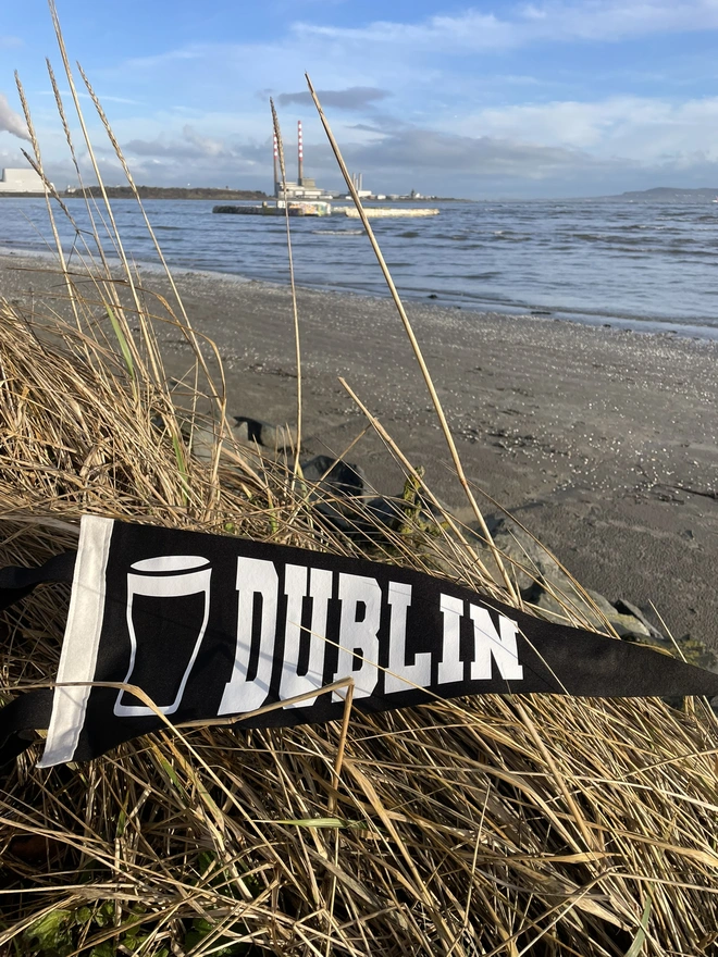 a felt pennant flag black and white, it has the word DUBLIN written in the varsity style and a pint of Guiness next to it