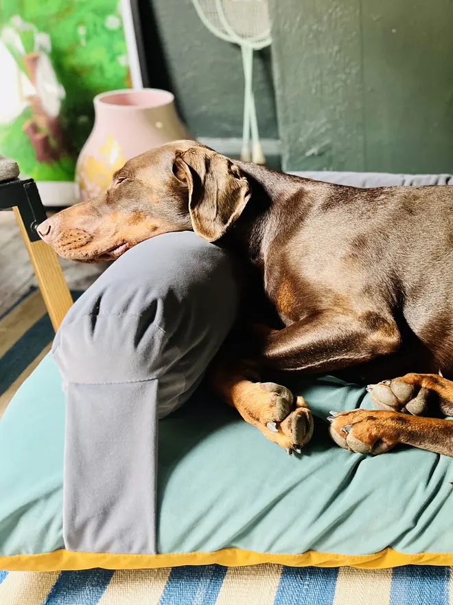 Reversible K-9 Candy Dog Bed