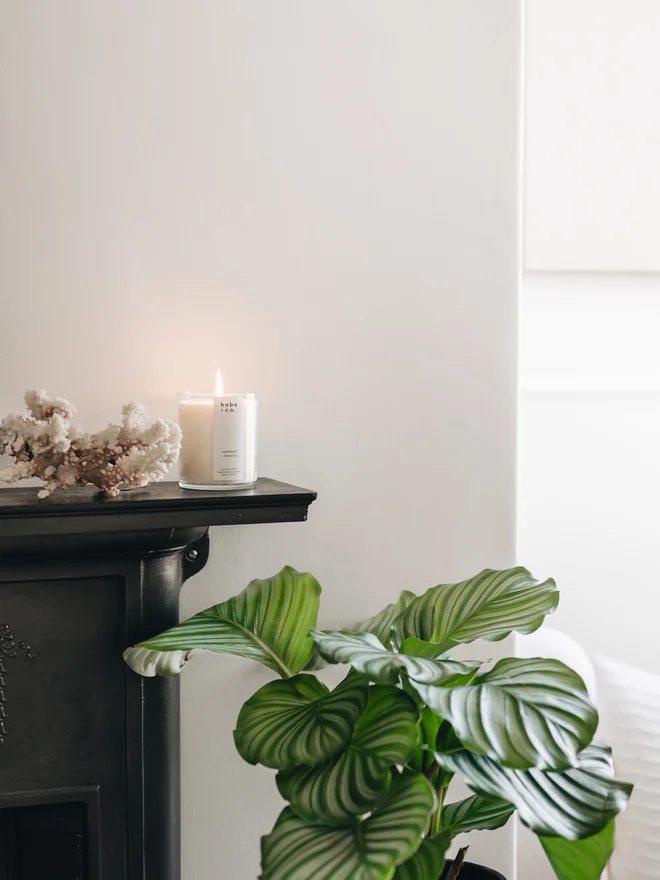 oakwood and tobacco large candle lit on mantlepiece