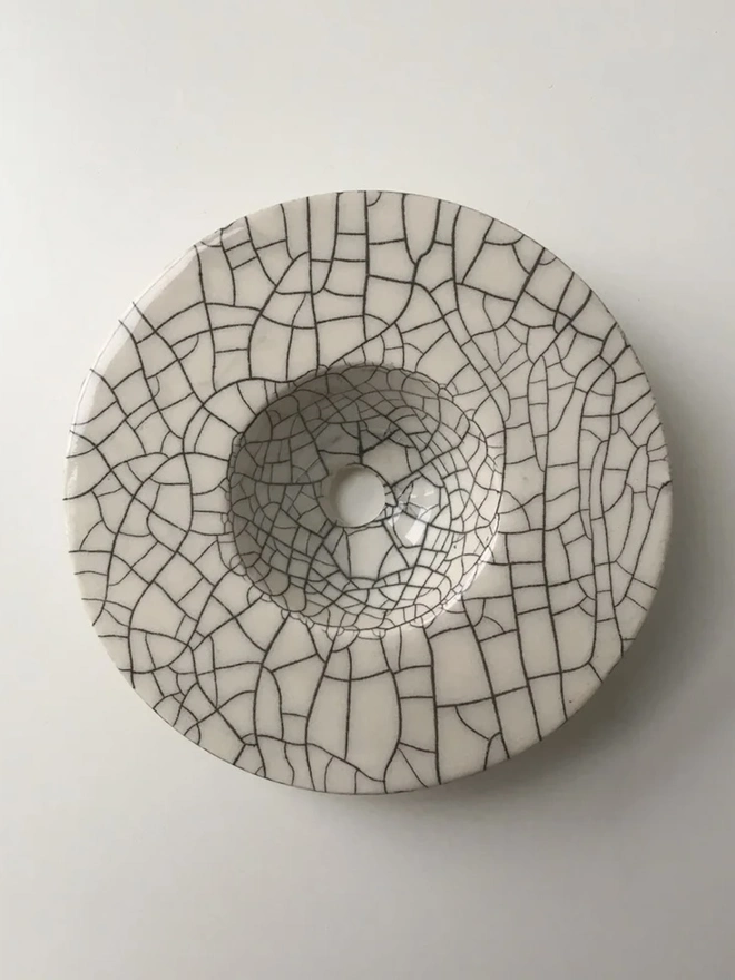 DIY Growing Kit CRACKLE, the growing discs sitting on a plain surface. 
