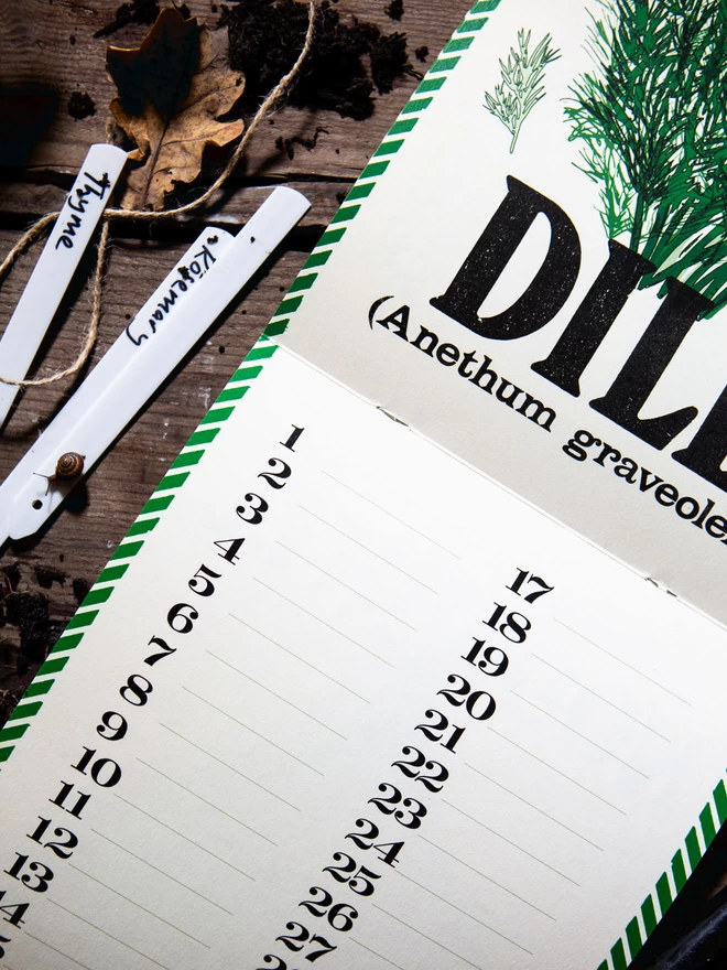 Dill Illustration Page Spread from Kitchen Herb Garden Perpetual Calendar