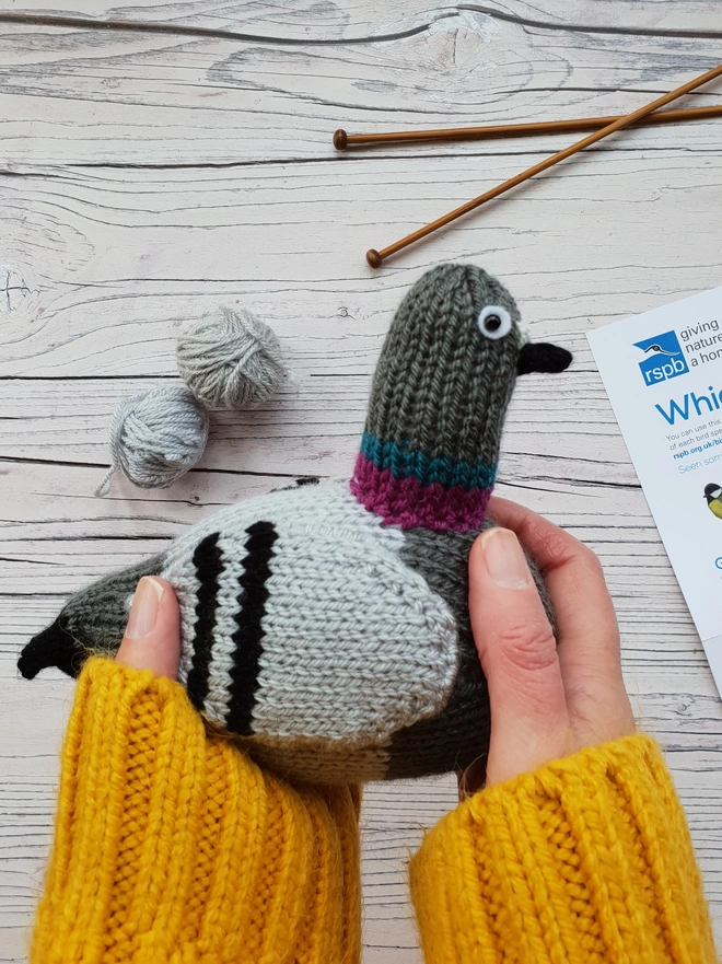 bill the pigeon cute bird knit kit