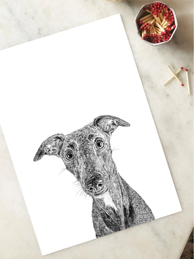 Whippet art print