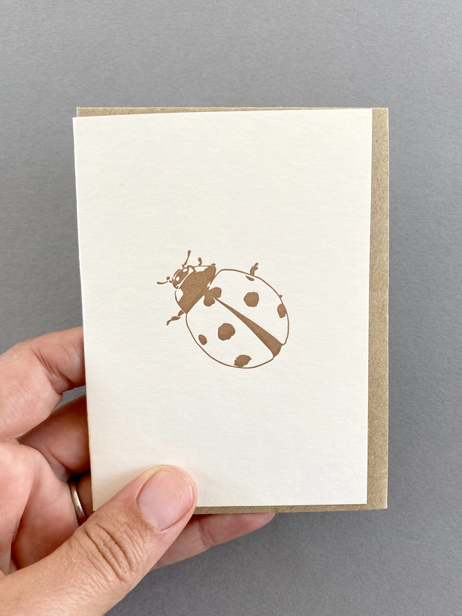 An image of the metallic bronze ladybird on the little note card