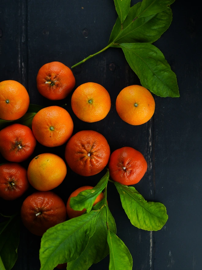 Satsuma and Tangelos Orange Candles