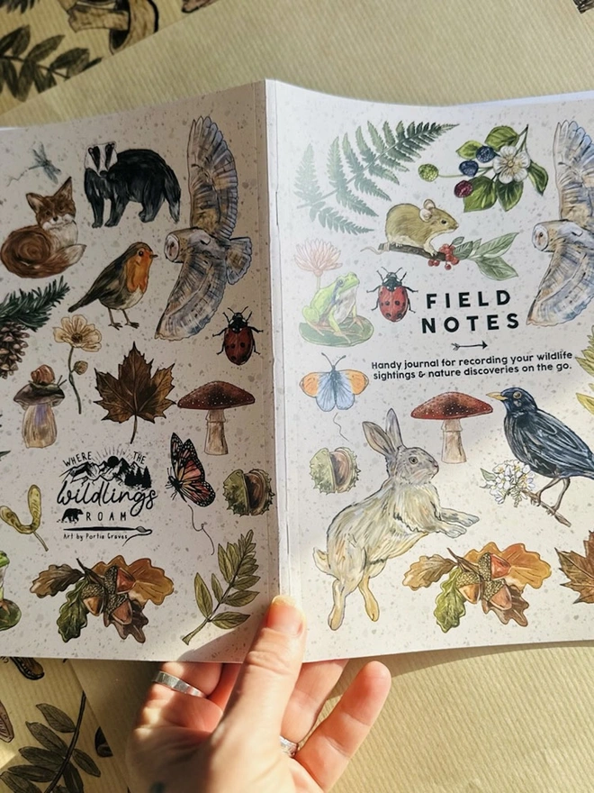 British Hedgerow Field Notes Journal, a stack of field notes journals sitting in a room. 