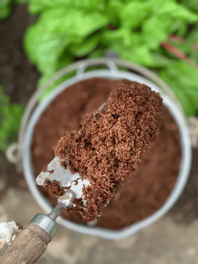 peat-free coir compost with trowel and bucket