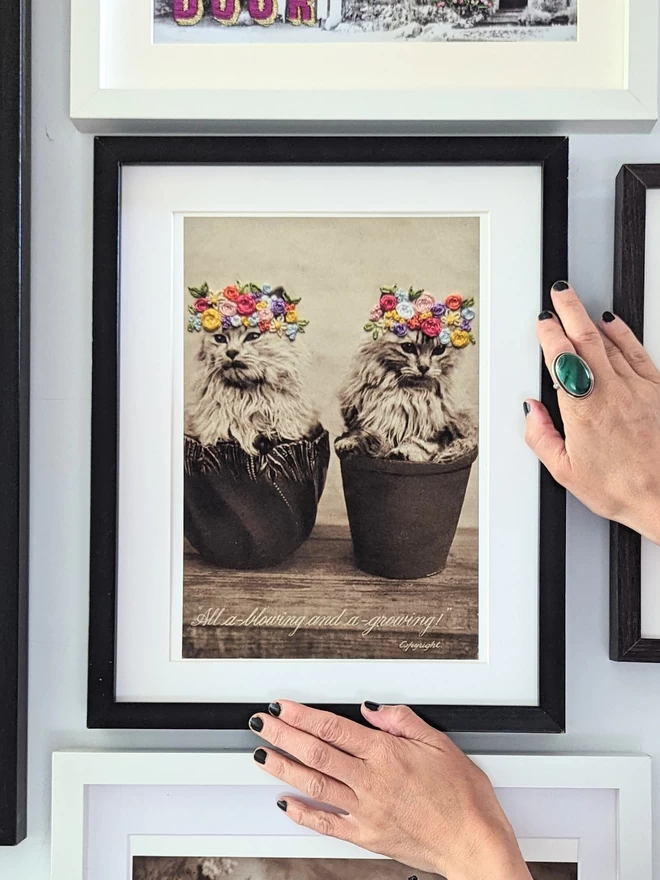 B&W photo print of 2 kittens in flower pot with coloured embroidered flower crown in frame on wall