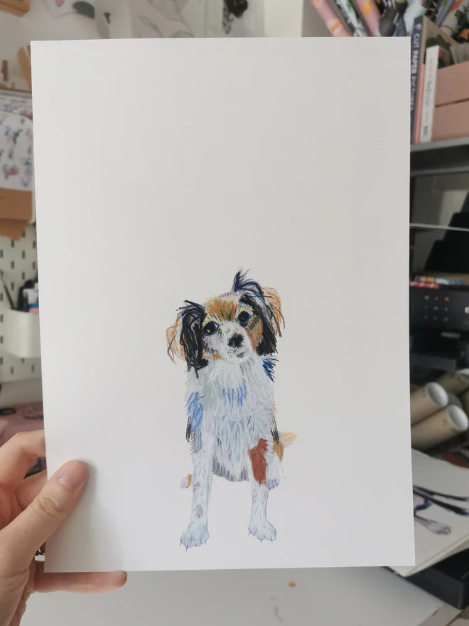 custom illustrated pet portrait. portrait of small white and brown dog on white background.