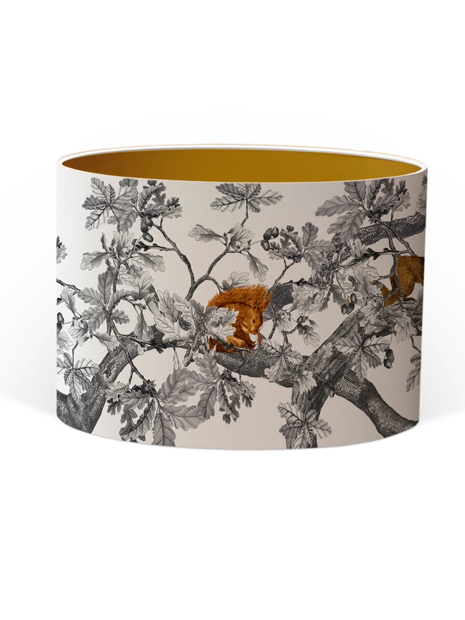 A decorative lampshade featuring red squirrels among oak leaves and acorns, inspired by the British countryside and woodland wildlife.