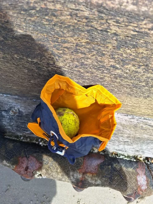 Orange/navy dog treat bag. Made from sail fabric, this treat bag is waterproof. Large enough to hold treats and a ball. Front pocket holds poo bag roll. 