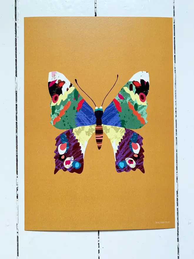 colourful butterfly print