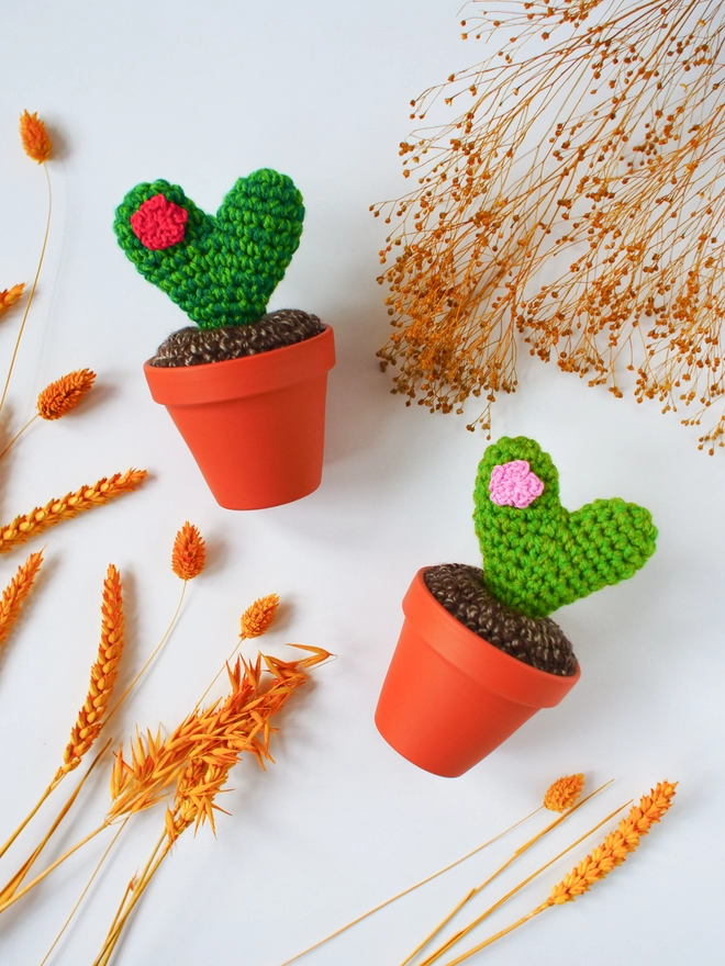 Heart shaped crochet cactus, Valentine's Day Gift